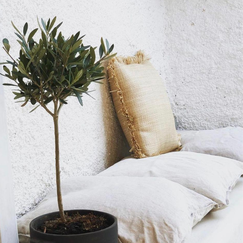 Renovation épuré pour renovation d'appartement à Cannes Boulevard Carnot